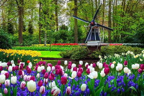 Visiter Keukenhof : informations sur la visite du parc et bons plans