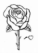 Rose Coloring Pages Printable sketch template