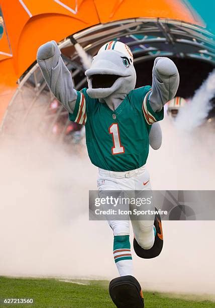 T D (Mascot) Photos and Premium High Res Pictures - Getty Images