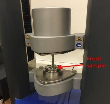 7 Measurement of sample rheology, showing (a) rheometer used and (b)... | Download Scientific ...