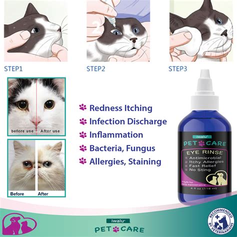 CAT EYE INFECTION TREATMENT Health Supplies Pets Cataract Relief Essentials | eBay