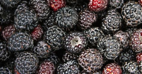 Surprising health benefits of black raspberries - Nexus Newsfeed