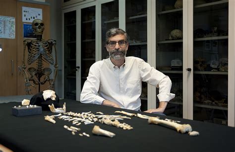 Neanderthal Skeleton Reveals the Growth Pattern of Our Extinct Cousins – Popular Archeology