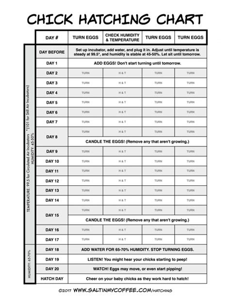 Printable Egg Incubation Chart - Celebrating a Simple Life