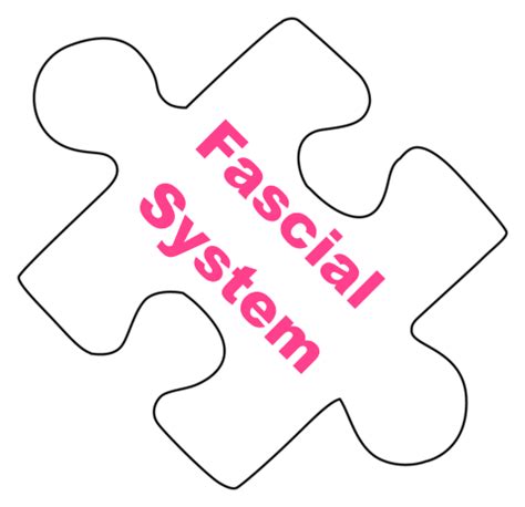 The Fascial System & Persistent Pain