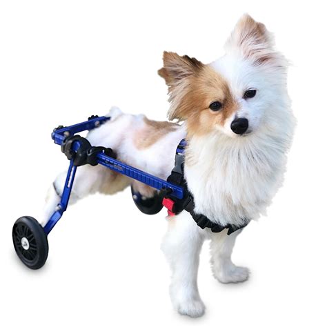 Walkin' Wheels Dog Wheelchair - XS for Mini/Toy Breeds 2-10 Pounds ...