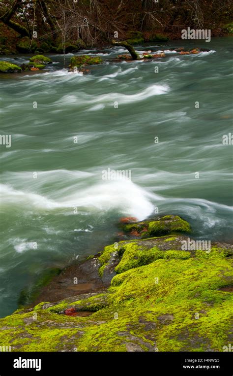 North Umpqua River from North Umpqua River National Recreation Trail ...