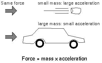 Newton's second law of motion ( momentum , force , weight , free ...