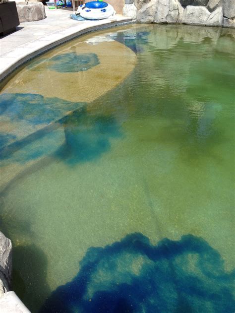 Wine Country Pools And Supplies: Swimming Pool Algae Removal