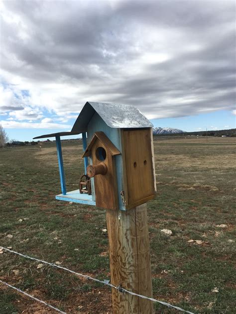 Blue bird house | Bird house, Bird houses, Bluebird house