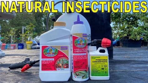 2 Natural Insecticides Every Organic Gardener Should Have - YouTube