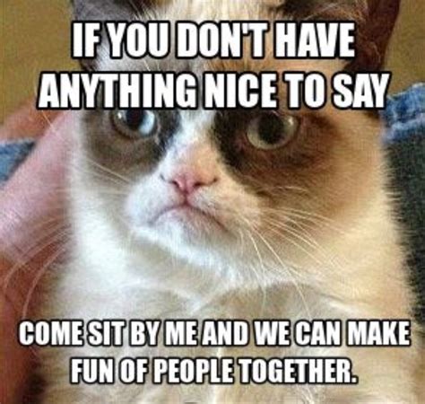 Grumpy Cat Work Quotes. QuotesGram