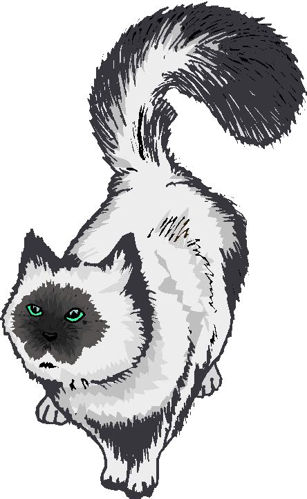 Cute Persian Cat Free Clipart | Free Microsoft Clipart