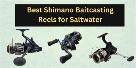 Top 10 Best Shimano Baitcasting Reels For Saltwater [2024]