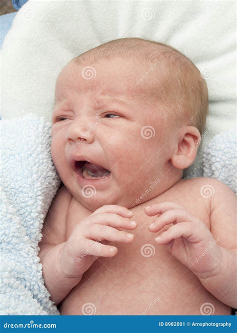 Newborn Baby Crying Stock Image - Image: 8982001