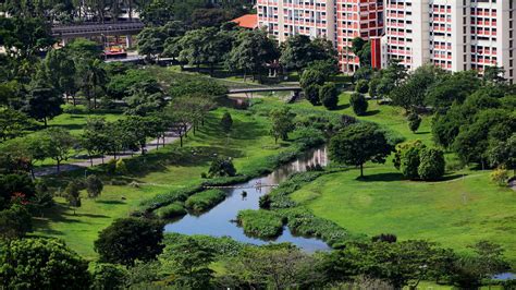 Bishan - Ang Mo Kio Park — DREISEITLconsulting