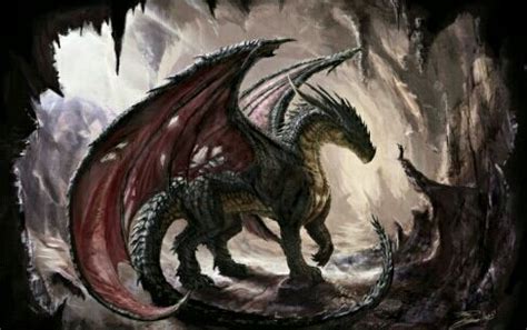 Hyodo Issei un camino en la historia - Cap 12 Planes a futuro | Imágenes de dragón, Dragón de ...