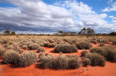 The Largest Deserts In Australia - WorldAtlas.com