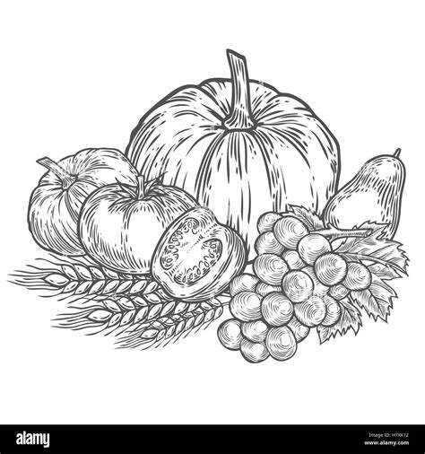 Farmers Market Clipart Black And White Fish