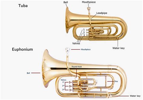 Euphonium vs. Tuba - Here is the Difference!