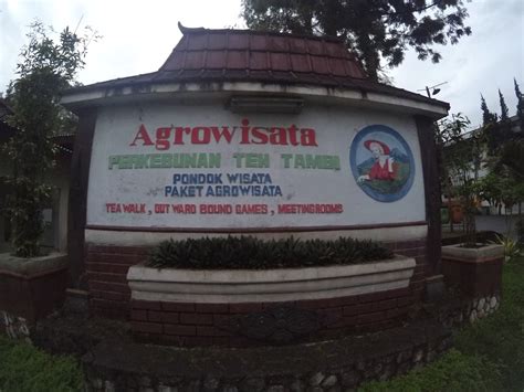 Mengunjungi Agrowisata Kebun Teh Tambi, Wonosobo - Blog Ardian Kusuma