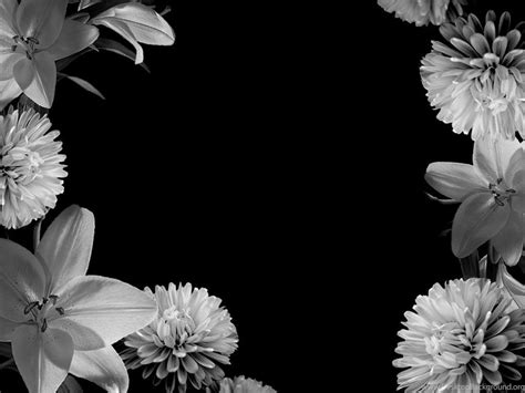 Black And White Flowers Wallpapers HD Wallpapers Lovely Desktop Background