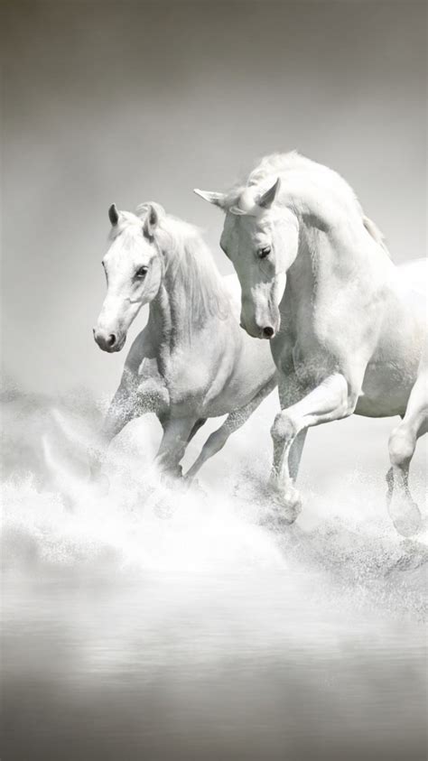 Running Horse iPhone Wallpapers - Wallpaper Cave