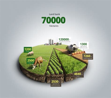 Agriculture Graphics | Infographic design, Infographic, Data ...