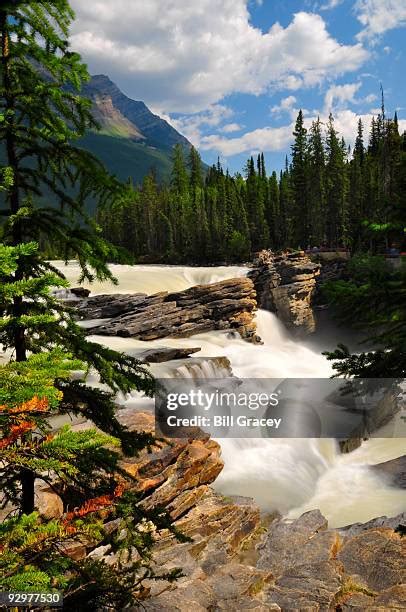 233 Sunwapta Falls Stock Photos, High-Res Pictures, and Images - Getty Images