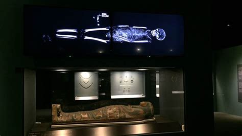 Egyptian Mummies from the British Museum: Exploring Ancient Lives | IMA ...