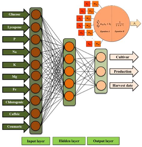 Diagram operational of an artificial neuron and sample diagram for an ...