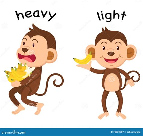 Opposite Words Heavy and Light Vector Stock Vector - Illustration of childhood, vector: 70839787