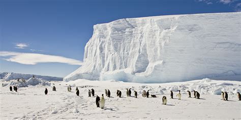 Antarctic ice sheets could be at greater risk of melting than thought - University of South ...