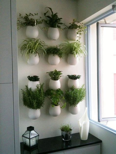 Kitchen Herb Wall. For me, probably in brick pots. Herb Garden Wall, Herb Wall, Herb Garden In ...