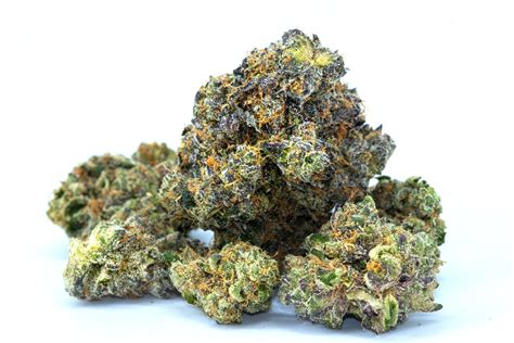 Top 30 Strongest Marijuana Strains | Ozark MMJ Cards