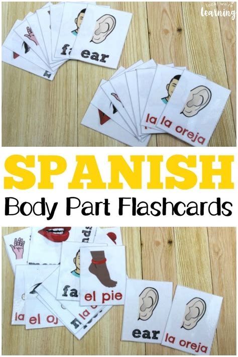 Printable spanish flashcards spanish parts of the body flashcards – Artofit