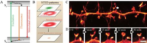 Stimulated emission depletion (STED) microscopy. A: Energy level ...