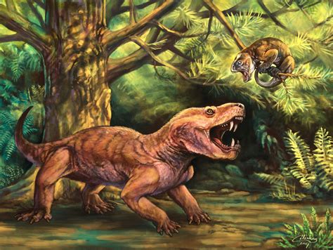 'Monstrous' new Russian saber-tooth fossils clarify early evolution of mammal lineage