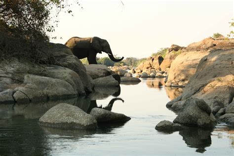 Why the Kafue? - Zambia Tourism