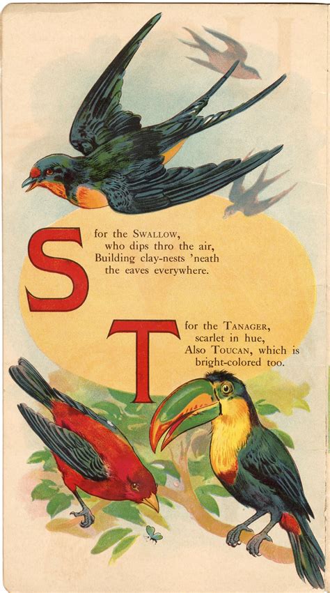 1916 THE ABC BOOK OF BIRDS Children's Alphabet Book PDF ONLY, Will F ...