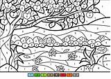 Color By Number Coloring Pages  100 Printable sketch template