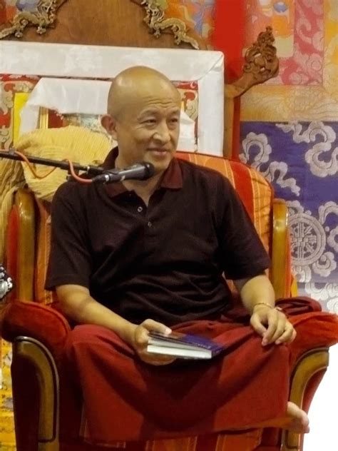 Free livestream on rebirth with Dzongsar Khyentse Rinpoche - Lion's Roar