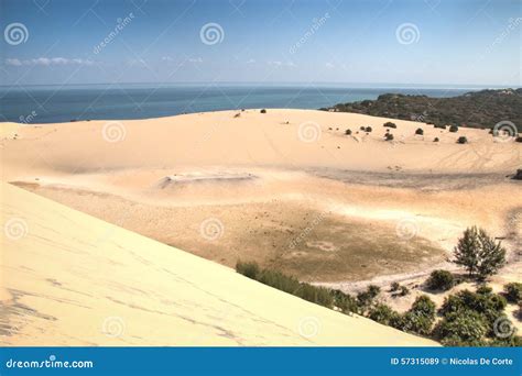 Dunes and Forest on the Bazaruto Islands Stock Image - Image of perfect ...