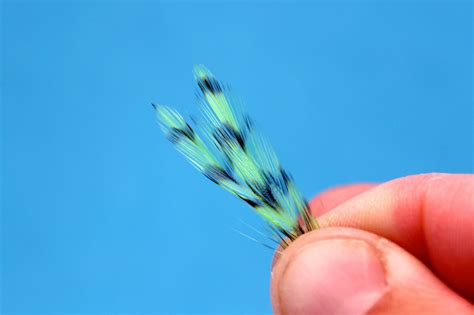 Feathers - Fly Tying Tips, Tricks & Common Mistakes Fly Tying Recipes & Patterns