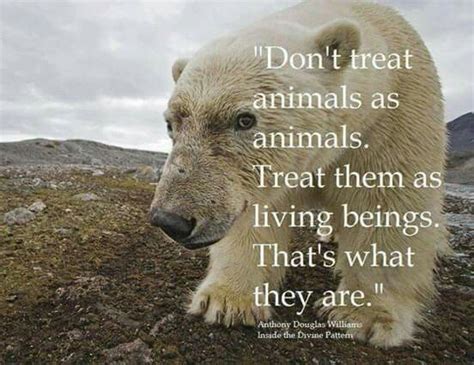 POLAR BEAR | Animal quotes, Animal rights, Save animals