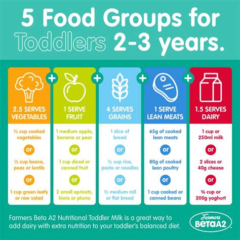 5 Food Groups for Toddlers - Beta A2 Professional