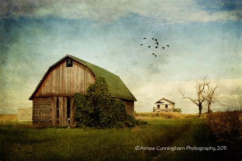 Aimee Cunningham Photography: Rural Art