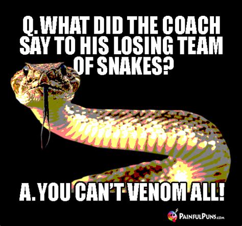 Snake Jokes, Viper Puns, Serpent Humor | PainfulPuns.com