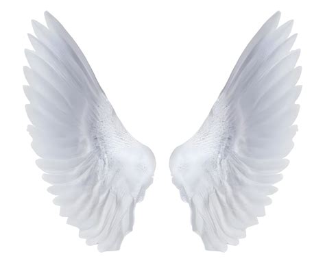 white angel wings. 21887869 PNG