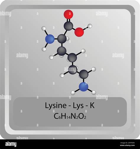 Lysine – Lys – K Amino Acid chemical structure. Molecular formula ball and stick model Molecule ...